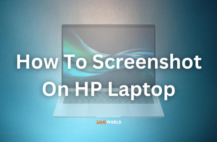 How to Take a Screenshot